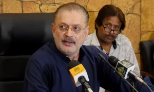 رضوانہ تشدد کیس میں ملک کا امیج خراب ہو رہا ہے، شرجیل میمن