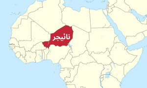 مغربی افریقی ملک نائیجر میں فوج نے فضائی حدود بند کردی