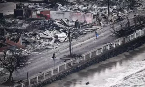 Hawaii fire death toll hits 53, expected to rise
