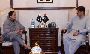 نگراں سیٹ اپ: وزیراعلیٰ اور اپوزیشن لیڈر کے درمیان ملاقات کی اندرونی کہانی سامنے آگئی