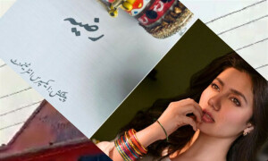 میں نے کہانی سنی تو دل کی دھڑکن نے ہاں کردی