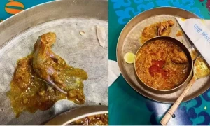 ریسٹورنٹ میں چکن کے سالن میں سے چوہا نکل آیا