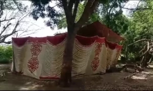 رانی پور میں 10 سالہ فاطمہ کی قبر کشائی اور پوسٹ مارٹم مکمل، لاش پر تشدد کے نشانات