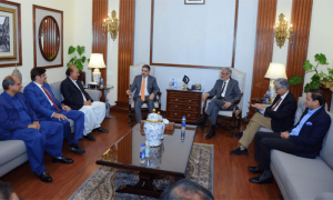 وفاق نے مشورہ کیے بغیرآئی جی سندھ کو تبدیل کیا، پی پی کا نگراں وزیراعظم سے شکوہ