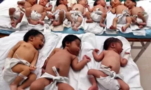 چندریان 3 کی کامیابی کے بعد بھارتیوں نے ہرنومولود کو &rsquo;خصوصی&lsquo; نام دے دیا