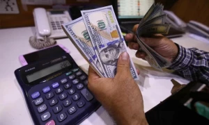 ڈالر مسلسل دوسرے روز مہنگا، نئی بلند ترین سطح پر جا پہنچا