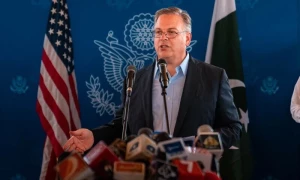 اُمید ہے پاکستان میں صاف و شفاف الیکشن ہونگے، امریکی سفیر