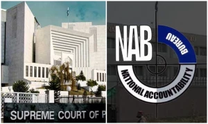 نیب ترامیم سے کن افراد نے فائدہ اٹھایا