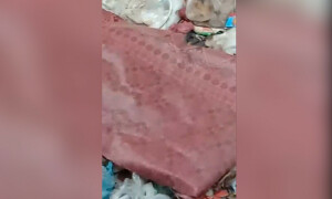 کراچی میں دو دن کی بچی کو چھٹی منزل سے پھینکنے والی خاتون کے بارے میں انکشافات
