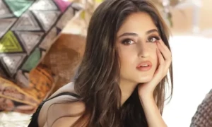 ٓسجل علی کے نئے فوٹو شوٹ نے سوشل میڈیا صارفین کے جذبات بھڑکا دیے