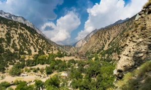 چترال بارڈر پر دہشتگردوں کا حملہ ناکام، 4 فوجی شہید 12 دہشت گرد مارے گئے