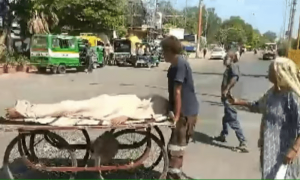 جوان بیٹے کی لاش ٹھیلے پر اٹھائے معمر بھارتی خاتون آخری رسومات کیلئے بھیک مانگتی رہی