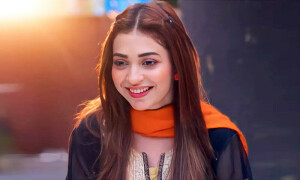دو وقت کما کر ایک وقت کھانے والے بجلی کے بل کیسے دیں؟