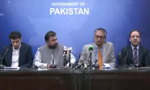 &rsquo;سرمایہ کاروں کیلئے طویل مدتی ویزا، پالیسی بزنس فرینڈلی کرنے جارہے ہیں&lsquo;