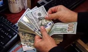 ترسیلات زر میں ماہانہ بنیاد پر اضافہ، 2 ماہ میں 4 ارب 10 کروڑ ڈالر موصول