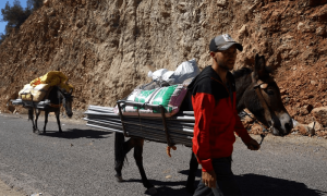 Morocco quake survivors pack donkeys with supplies to reach cut-off villages