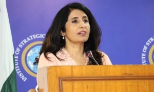 افغانستان کی سرزمین پاکستان کے خلاف استعمال ہورہی ہے، دفترخارجہ
