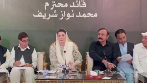 نواز شریف کا تاریخی استقبال ہوگا &rsquo;ہمارے پاس قیادت بھی ہے، ایجنڈا، ٹیم اور اخلاص وعزم بھی ہے&lsquo;