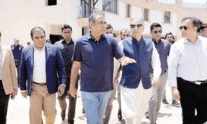 چین کے سرمایہ کاروں کو پنجاب میں خصوصی مراعات دی جائیں گی، محسن نقوی