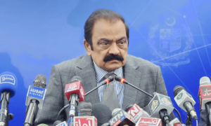 نواز شریف سے متعلق بیان پر رانا ثناء نے نگراں وفاقی وزیرداخلہ کو آڑے ہاتھوں لے لیا