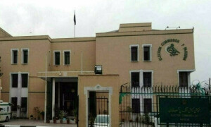 قومی و صوبائی اسمبلیوں کے لیے ابتدائی حلقہ بندیوں پر کام مکمل