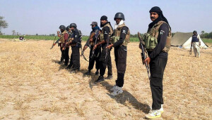 کچے میں عمرانی گینگ کے ڈاکو پولیس کے سامنے ہتھیار ڈالنے کو تیار