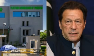عمران خان کو عہدے سے ہٹانے کی درخواست پر فیصلہ محفوظ
