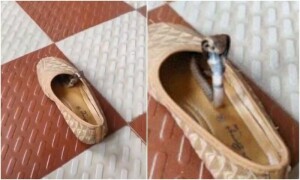 خاتون کے جوتے میں سے ننھا کوبرا نکل آیا، ویڈیو وائرل