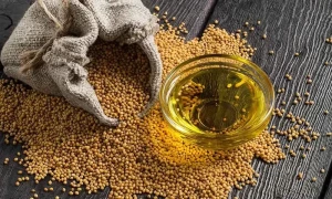 سرسوں کا تیل بالوں کے علاوہ صحت کے لیے بھی انتہائی مفید