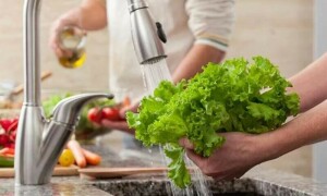سلاد کے پتوں کو ترو تازہ رکھنے کا آسان ترین طریقہ