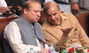 مسلم لیگ ن کا پارٹی پر تنقید کرنے والے رہنماؤں کو ٹکٹ نہ دینے کا فیصلہ