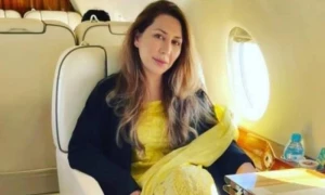 فرح شہزادی کے بچوں کا نام ای سی ایل سے نکالنے کی درخواست مسترد