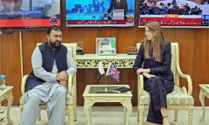 وزیر داخلہ کی برطانوی ہائی کمشنر سے ملاقات
