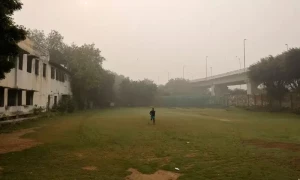 Delhi primary schools to close amidst high pollution levels