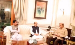 شہباز شریف سے سابق ارکان قومی و صوبائی اسمبلی کی ملاقاتیں، انتخابات سے متعلق تبادلہ خیال
