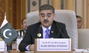 &rsquo;پاکستان 1967 کی سرحدوں کے مطابق ریاست فلسطین کے قیام کا حامی ہے&lsquo;، عرب واسلامی ممالک کے اجلاس میں نگراں وزیراعظم کا خطاب