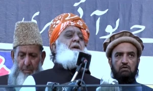 حماس نے کہا دنیا میں ہماری امید پاکستان ہے، مولانا فضل الرحمان