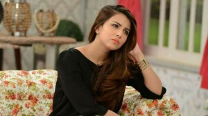 اشنا شاہ کا ہالی ووڈ اداکاروں کے بائیکاٹ کا مطالبہ