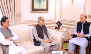ن لیگ کی جیت پاکستان کی معاشی ترقی کیلئے ناگزیر ہے، شہباز شریف