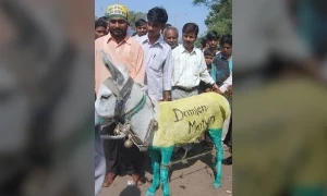 جب بھارت میں گدھے پر آسٹریلیائی کھلاڑی ڈیمین مارٹن کا نام لکھ کر گھمایا گیا