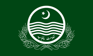 وزیراعلی پنجاب کا شہید افسر یا ملازم کے لواحقین کو پولیس شہداء کے برابر امداد دینے کا فیصلہ