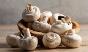 موسمِ سرما میں مشروم کھائیں ، ان گنت فوائد پائیں