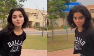 &rsquo;کیا سے کیا ہوگئے دیکھتے دیکھتے&lsquo;، علیزے شاہ شدید تنقیدکی زد میں
