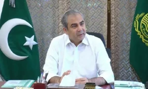 20 دسمبر سے بندرگاہوں پر 2 لاکھ ٹن اضافی یوریا کھاد پہنچنے سے کمی ختم ہوگی، محسن نقوی