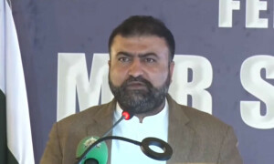 پارلیمنٹ اور میڈیا میں دہشتگردوں کی حمایتی آواز کو کچلنا ہوگا، نگراں وزیر داخلہ