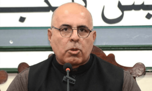 &rsquo;افغانستان کی طالبان انتظامیہ پاکستان میں دہشتگردی کی براہ راست ذمہ دار ہے&lsquo;