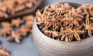 بادیان: ایک پھول کے ان گِنت فوائد