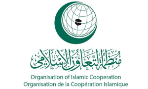 او آئی سی کا اسرائیل کے خلاف جنوبی افریقہ کی عالمی عدالت انصاف کے مقدمے کا خیر مقدم