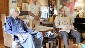ن لیگ استحکام پاکستان پارٹی سے 2 نشستوں پر سیٹ ایڈجسٹمنٹ پر آمادہ