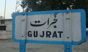 ن لیگ نے گجرات میں باپ بیٹے اور3 سگے بھائیوں کو ٹکٹ دے دیا